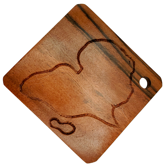 (SIGNATURE) Sankofa's Signature 4 in 1 Coaster Set (Map of Africa)